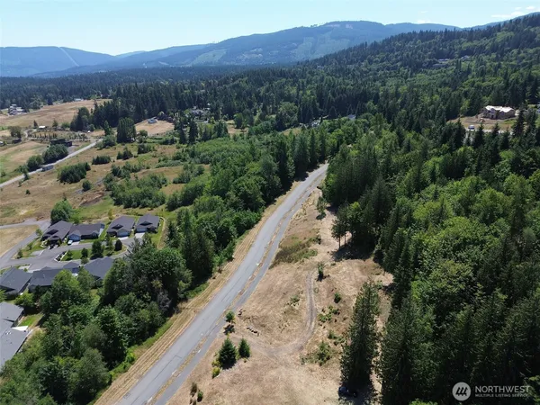 an aerial view of green landscape with trees houses and mountain view
