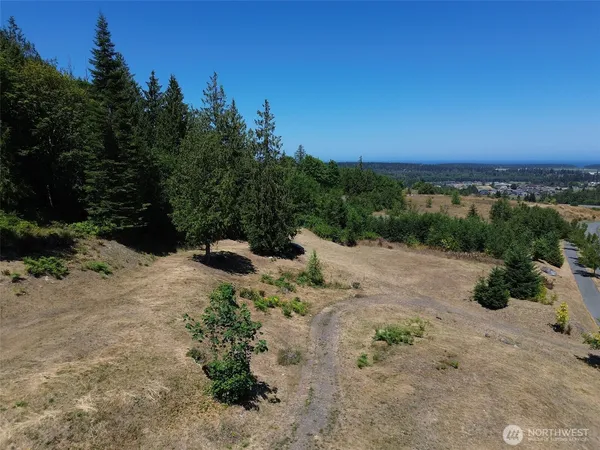 a view of a yard with a tree
