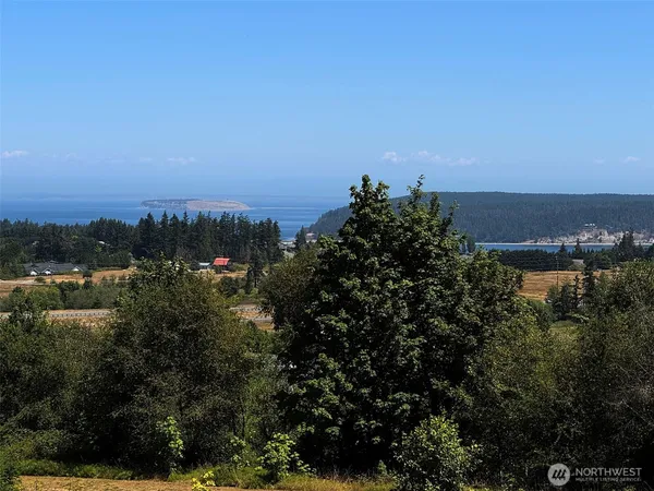 a view of a field with trees in background
