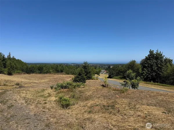 a view of a road with a tree in the background