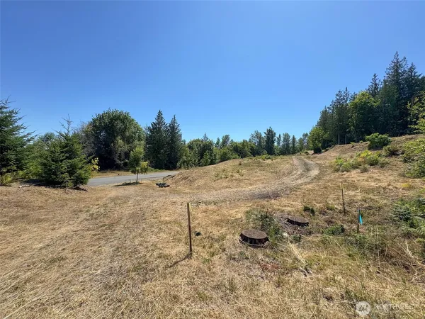 a view of a yard with trees