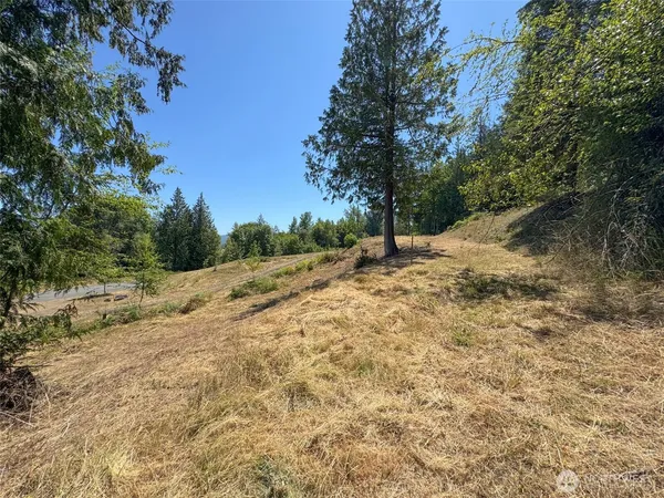 a view of a backyard with trees