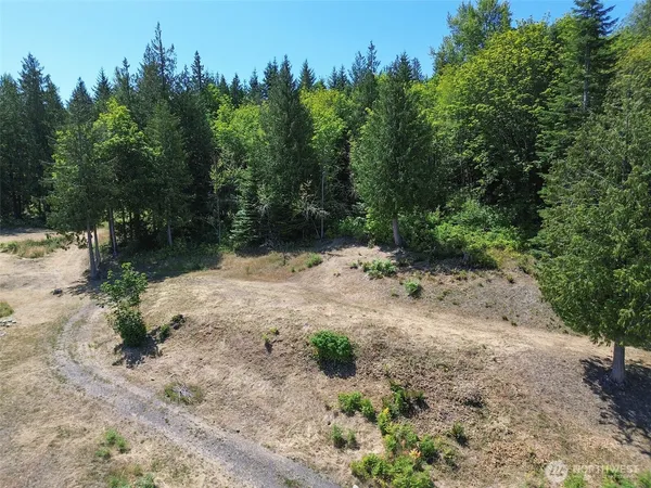 a view of a dirt road with trees in the background