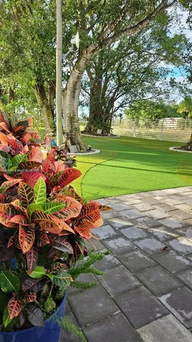 a view of a backyard with garden
