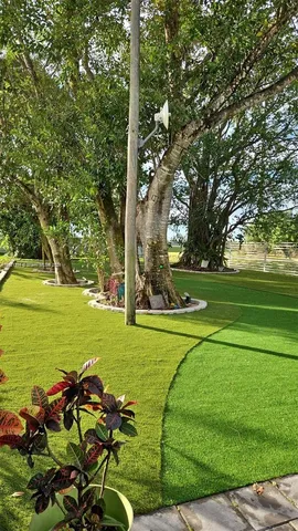 an aerial view of a house with swimming pool and large trees