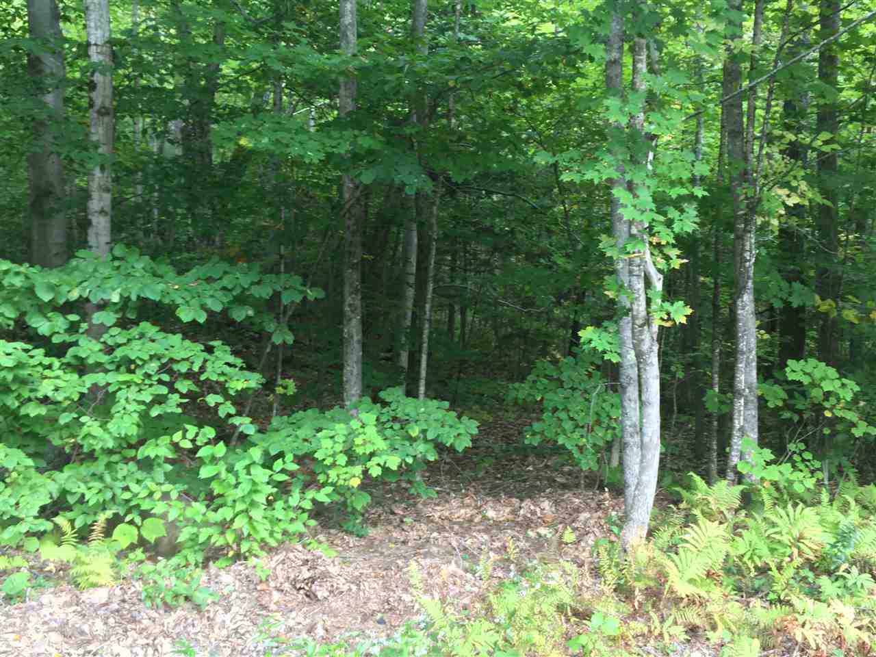 0 Squam Lake Road, Unit 15H Sandwich, NH 03227 - Photo 1 of 12 Gallery Image 1