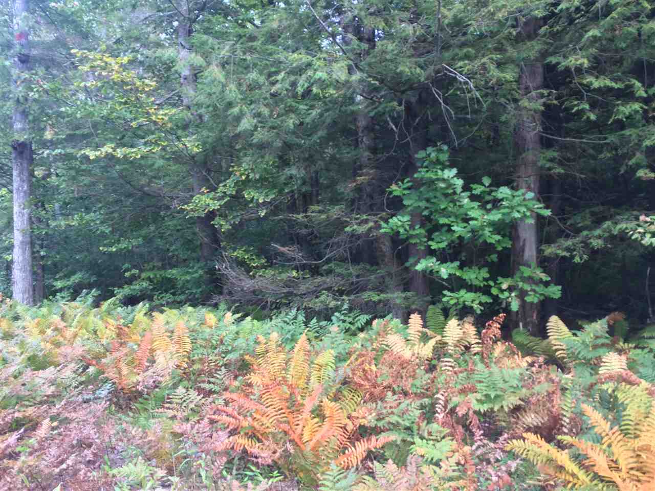 0 Squam Lake Road, Unit 15H Sandwich, NH 03227 - Photo 11 of 12 Gallery Image 11