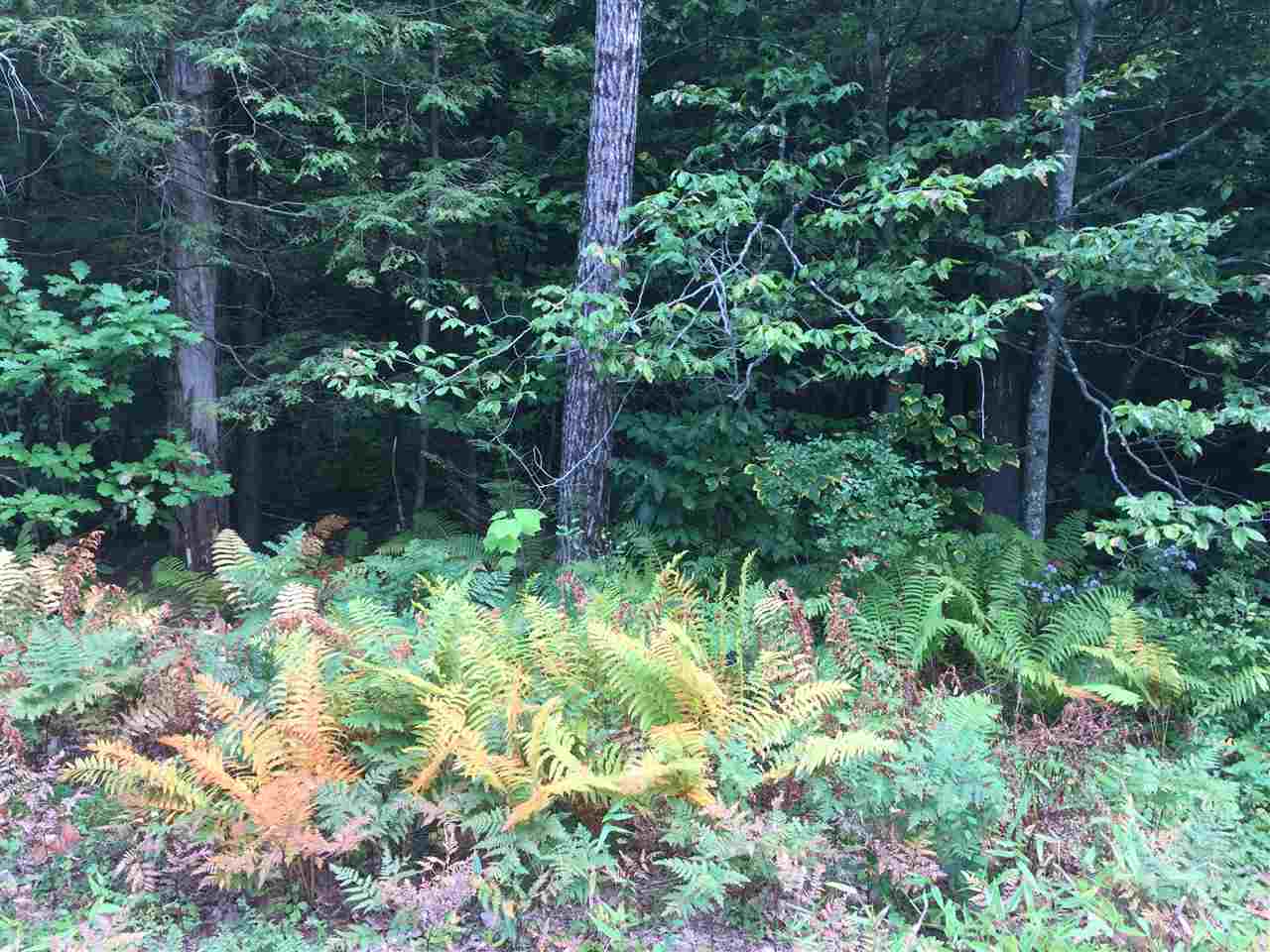 0 Squam Lake Road, Unit 15H Sandwich, NH 03227 - Photo 12 of 12 Gallery Image 12