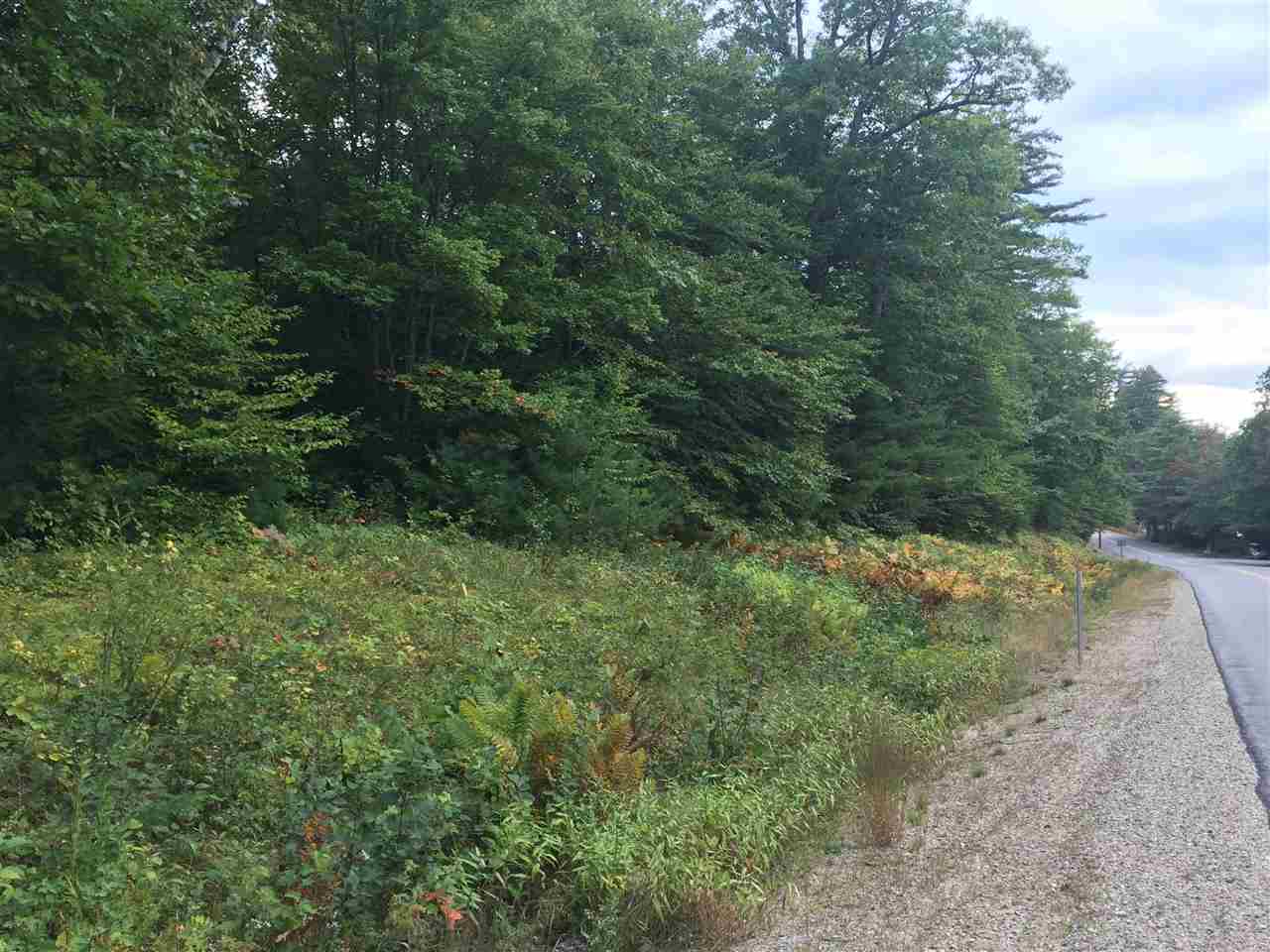 0 Squam Lake Road, Unit 15H Sandwich, NH 03227 - Photo 4 of 12 Gallery Image 4