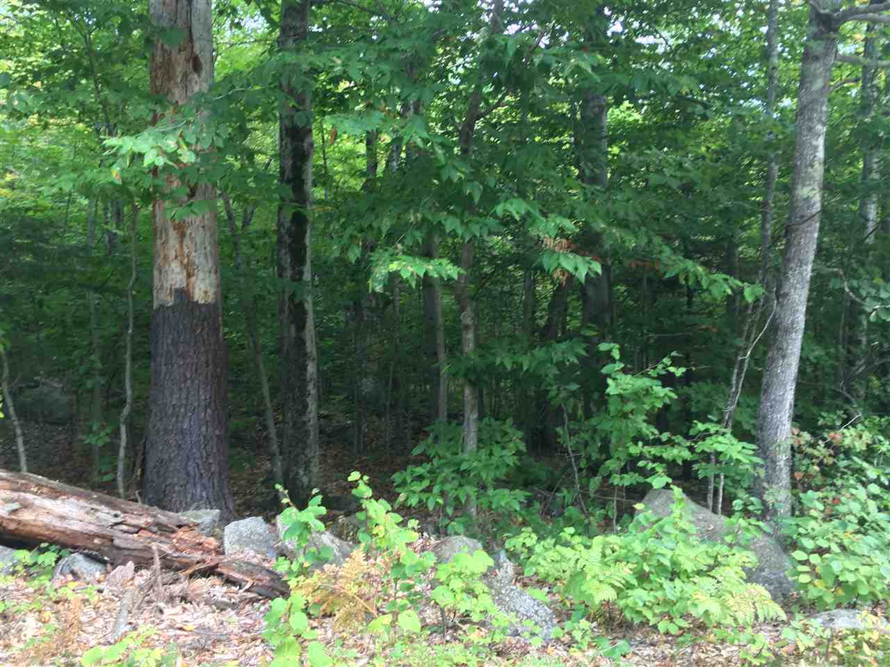 0 Squam Lake Road, Unit 15H Sandwich, NH 03227 - Photo 5 of 12 Gallery Image 5