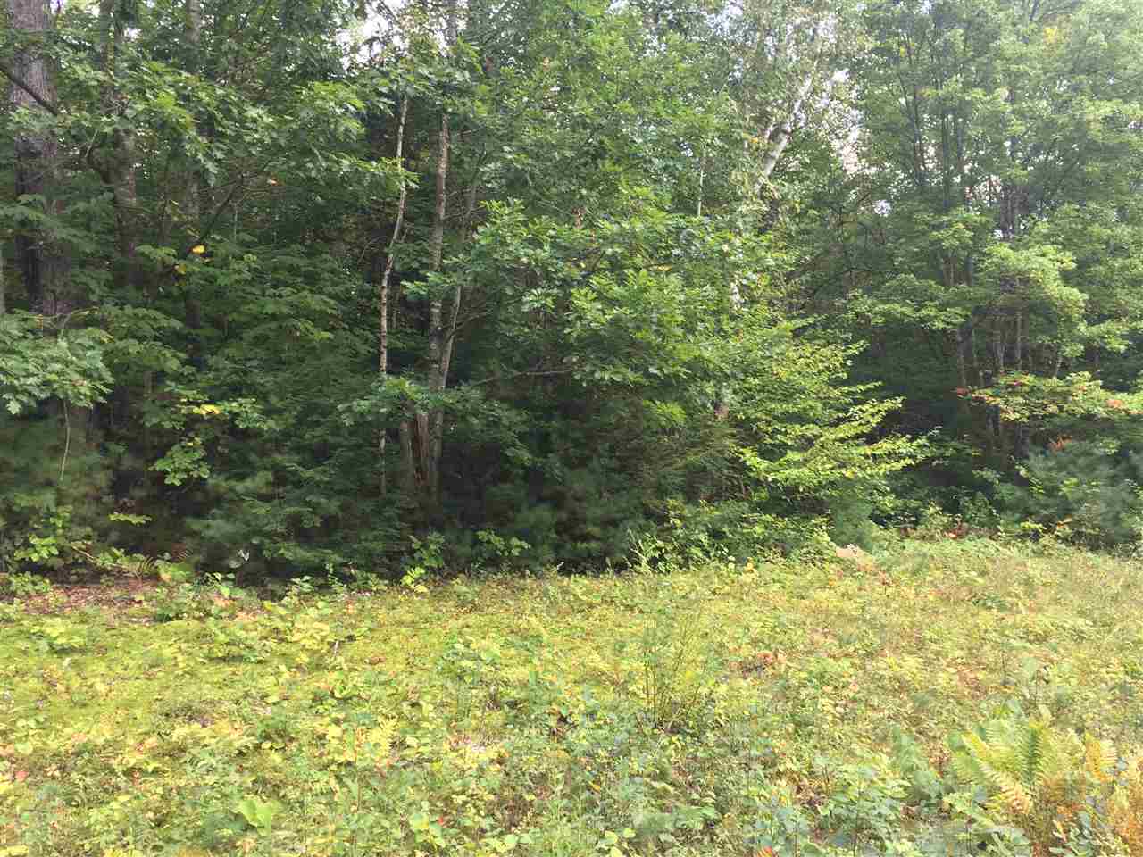 0 Squam Lake Road, Unit 15H Sandwich, NH 03227 - Photo 8 of 12 Gallery Image 8