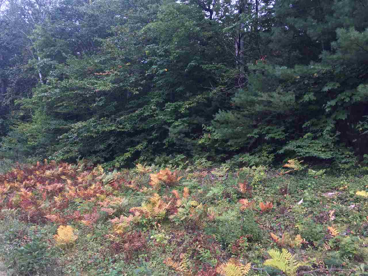 0 Squam Lake Road, Unit 15H Sandwich, NH 03227 - Photo 9 of 12 Gallery Image 9