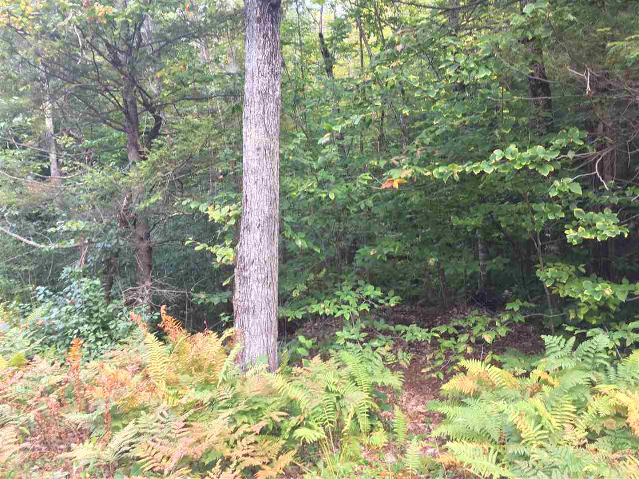 0 Squam Lake Road, Unit 15H Sandwich, NH 03227 - Photo 10 of 12 Gallery Image 10