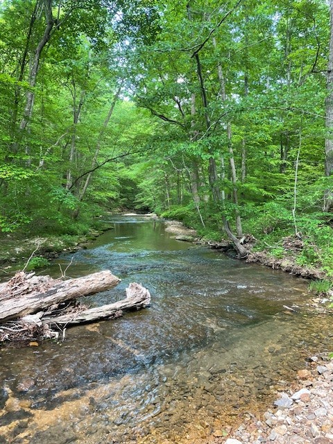 0 Hawkins Road White Bluff, TN 37187 - Photo 1 of 17 a view of a trees and yard