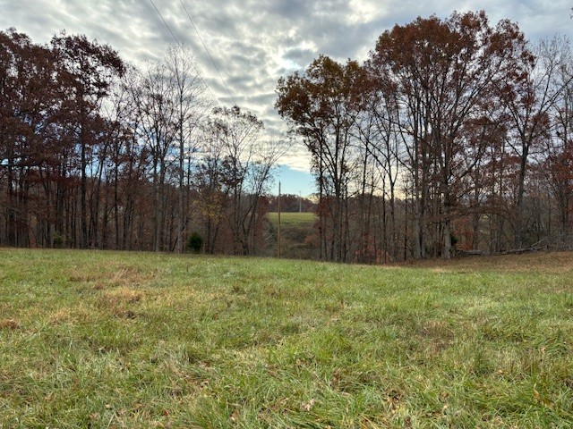 0 Hawkins Road White Bluff, TN 37187 - Photo 13 of 17 a view of backyard with tree
