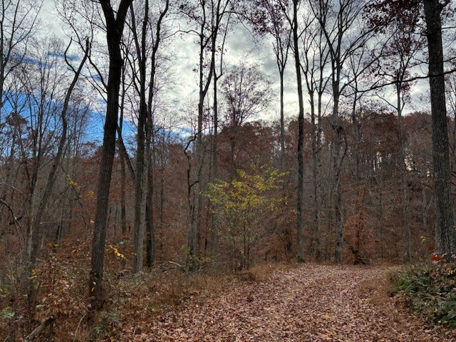 0 Hawkins Road White Bluff, TN 37187 - Photo 14 of 17 a view of a forest