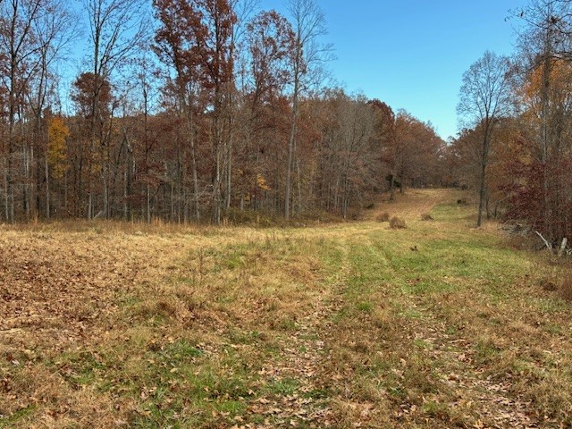 0 Hawkins Road White Bluff, TN 37187 - Photo 15 of 17 a backyard of a house with lots of green space