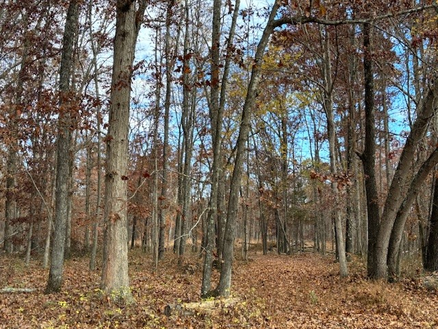 0 Hawkins Road White Bluff, TN 37187 - Photo 16 of 17 a view of outdoor space with lots of trees