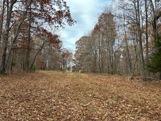 0 Hawkins Road White Bluff, TN 37187 - Photo 2 of 17 a view of a yard with trees