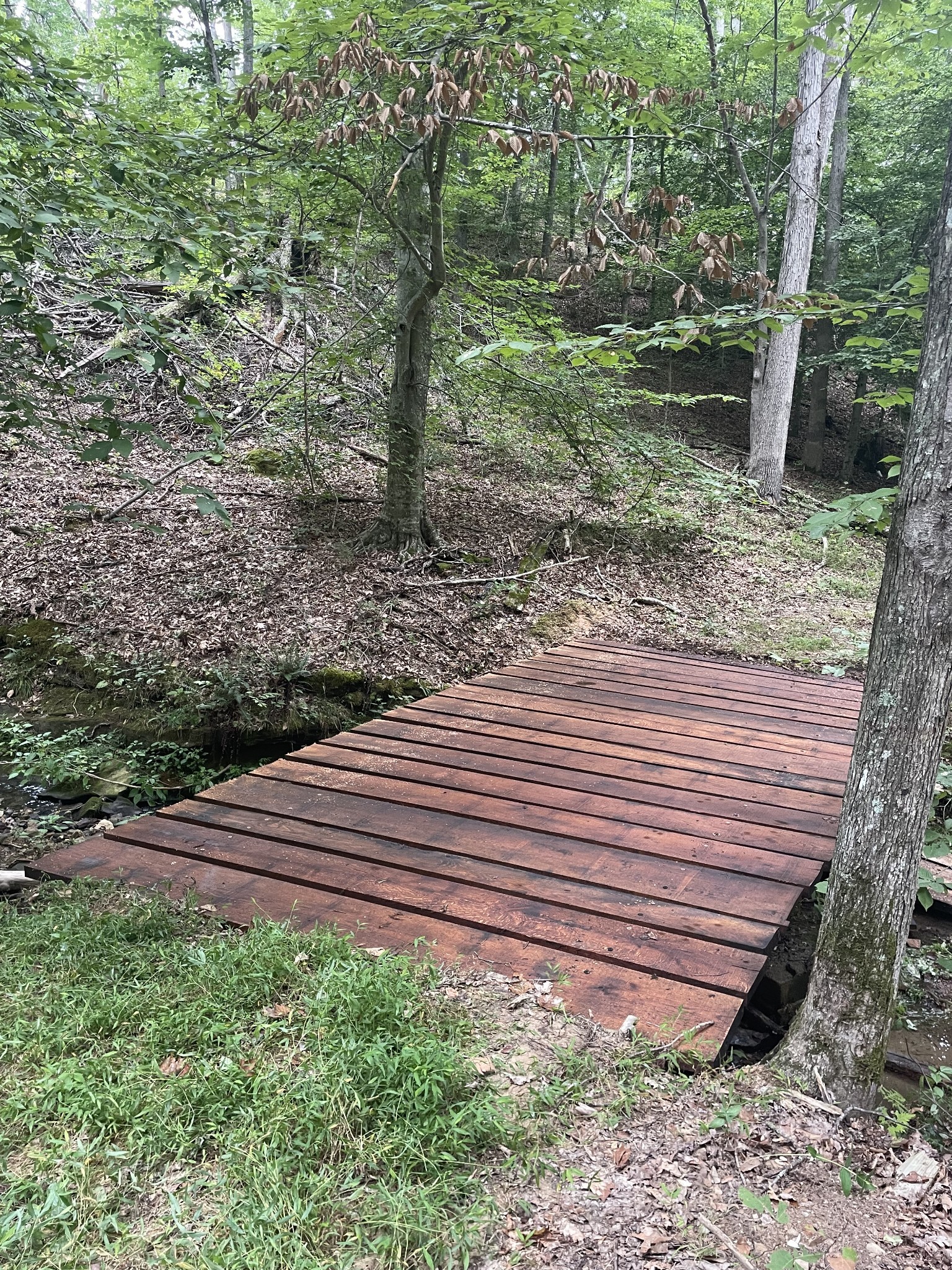 0 Hawkins Road White Bluff, TN 37187 - Photo 7 of 17 a view of a backyard with trees