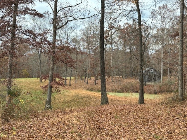 0 Hawkins Road White Bluff, TN 37187 - Photo 8 of 17 a backyard of a house with lots of green space