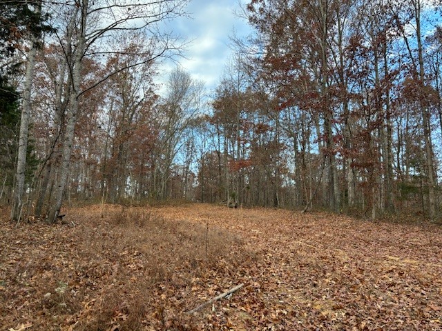0 Hawkins Road White Bluff, TN 37187 - Photo 9 of 17 a view of a yard with trees