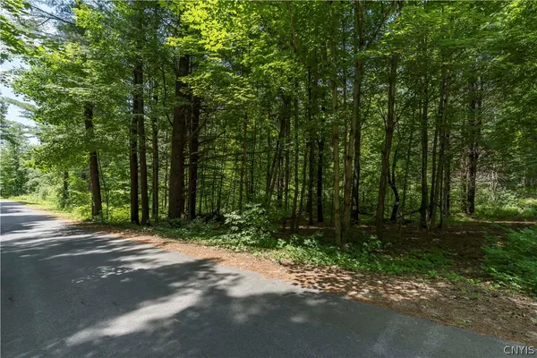 $45,900 | Split Rock Road, Hammond, NY 13646