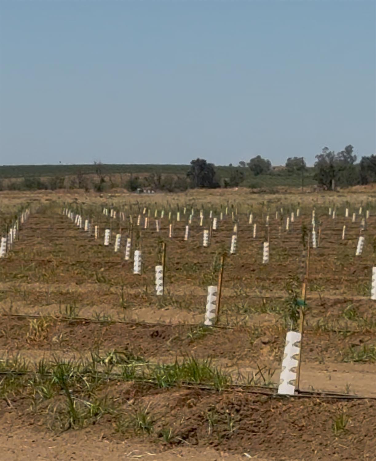 14255 East Prouty Road Galt, CA 95632 - Photo 14 of 15