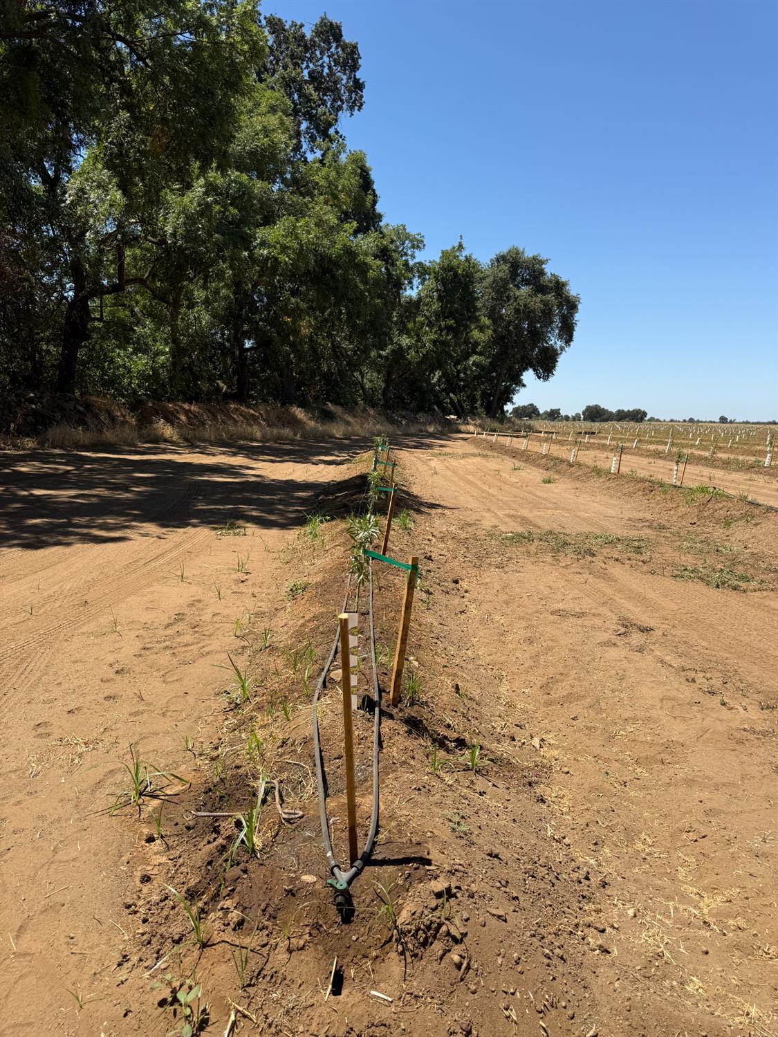 14255 East Prouty Road Galt, CA 95632 - Photo 6 of 15