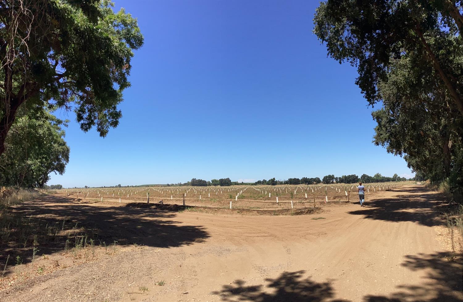 14255 East Prouty Road Galt, CA 95632 - Photo 8 of 15