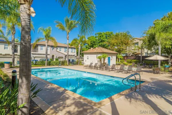 a view of a swimming pool with a lawn chairs under palm trees