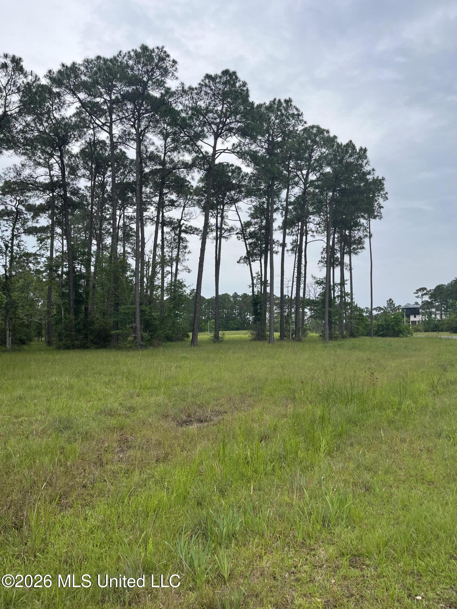 14142 Lorraine Road Biloxi, MS 39532 - Photo 10 of 13 IMG_8758