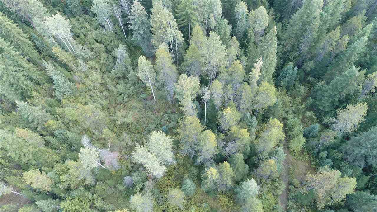 339 Cat Road Priest River, ID 83856 - Photo 4 of 8 Gallery Image 4