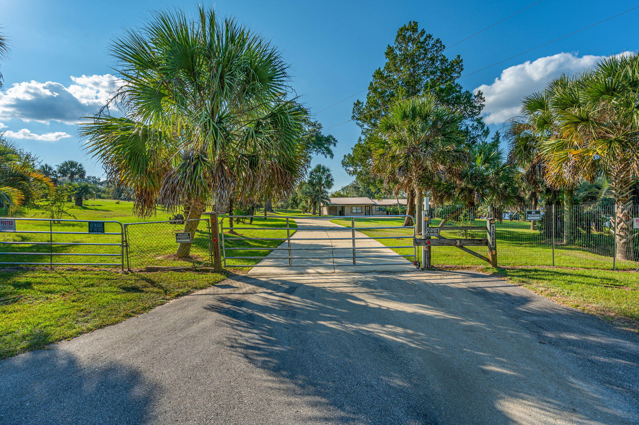 7068 Old River Road Baker, FL 32531 - Photo 12 of 42 a view of a park with palm trees