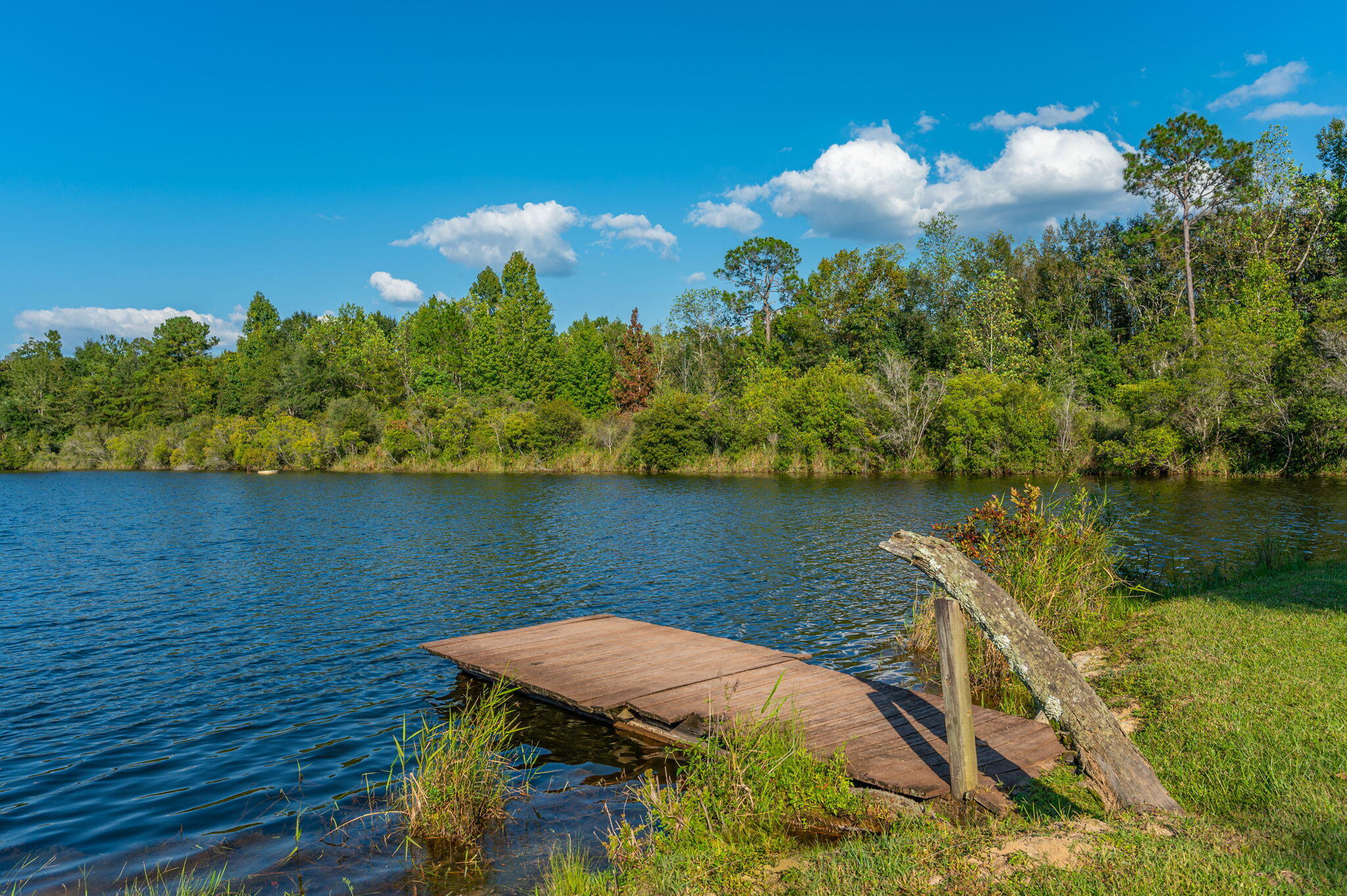 7068 Old River Road Baker, FL 32531 - Photo 2 of 42 a view of a lake in middle of forest