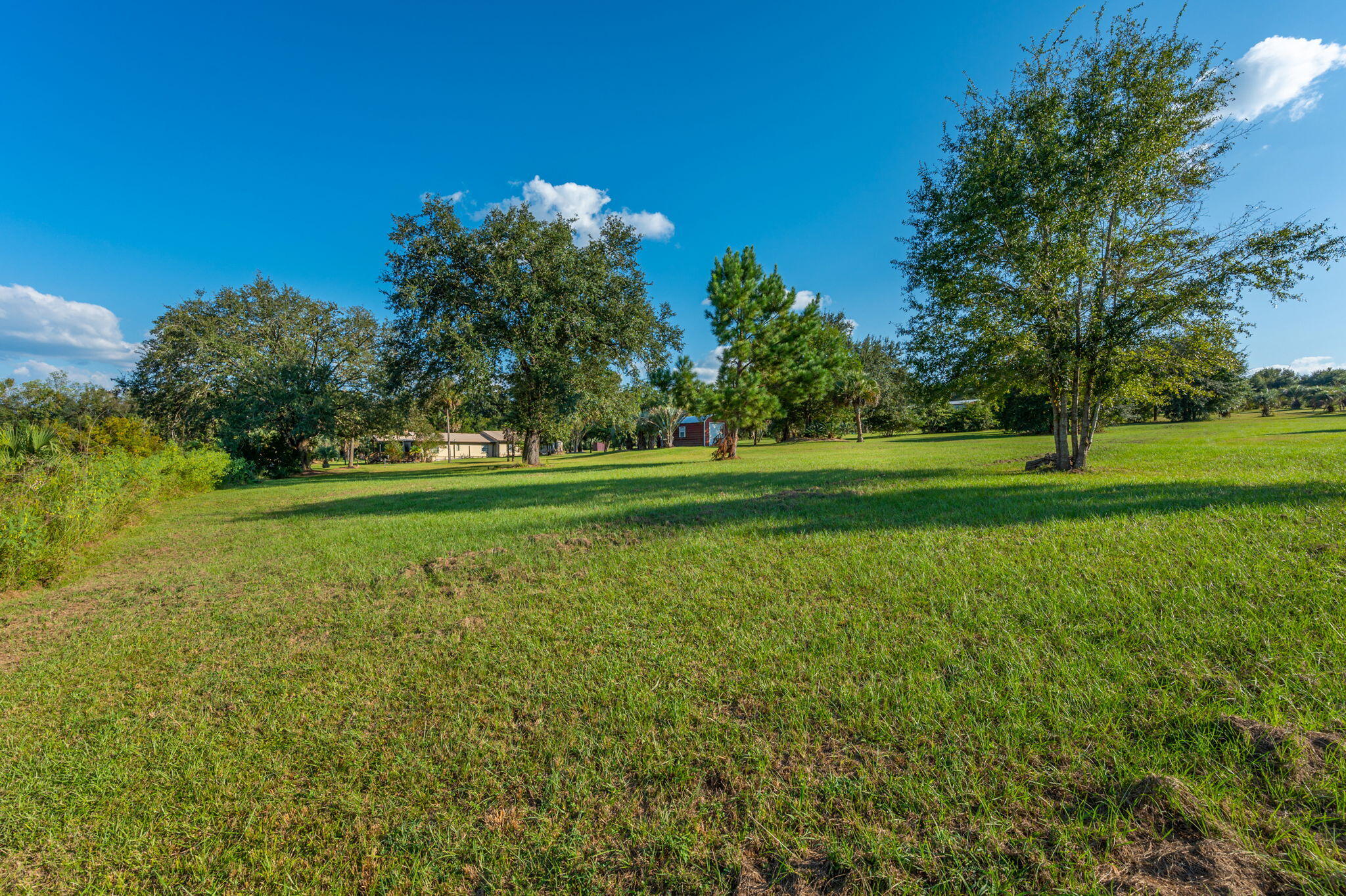 7068 Old River Road Baker, FL 32531 - Photo 41 of 42 a view of a grassy field with trees