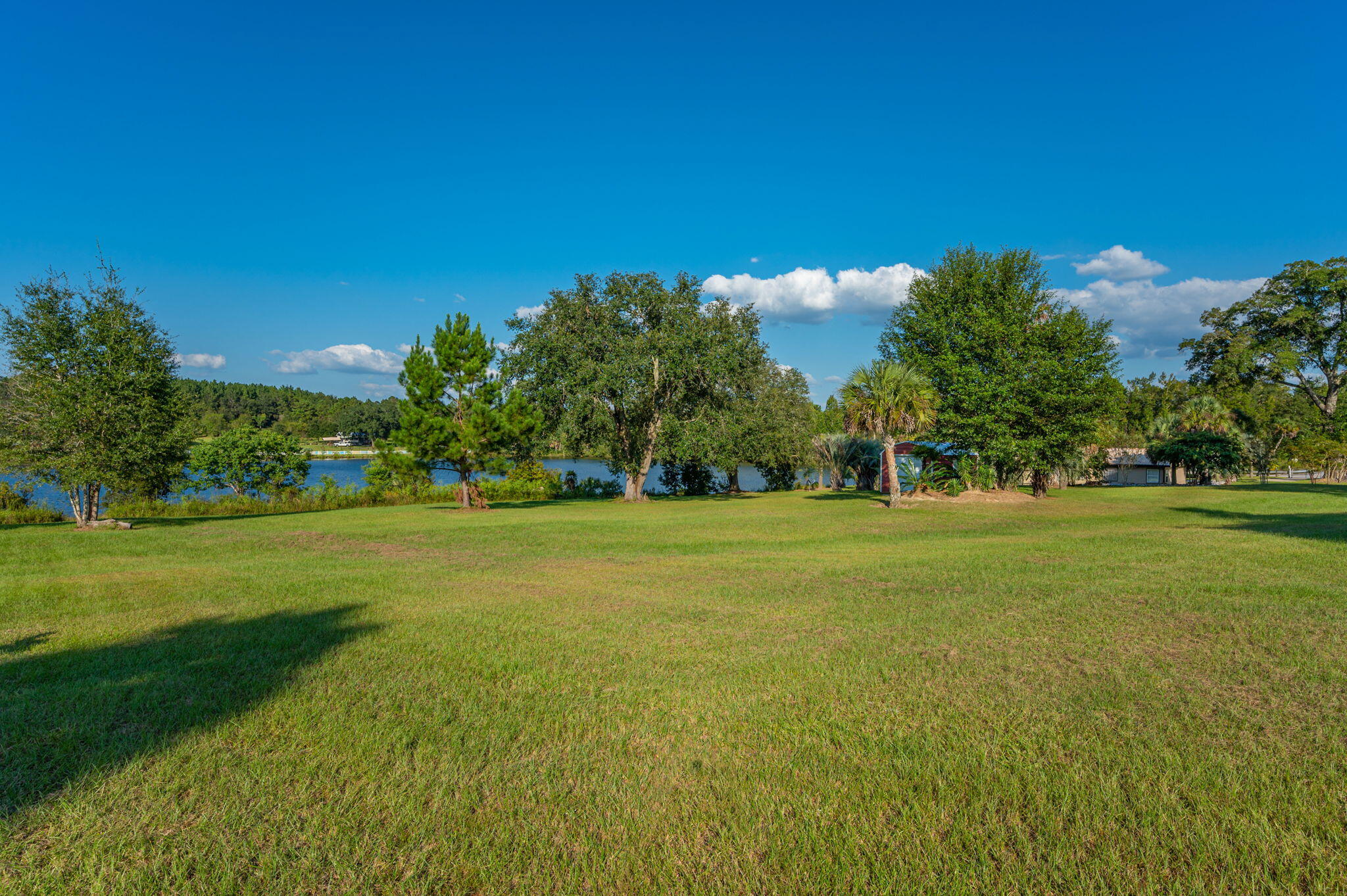 7068 Old River Road Baker, FL 32531 - Photo 42 of 42 a view of field with trees in the background