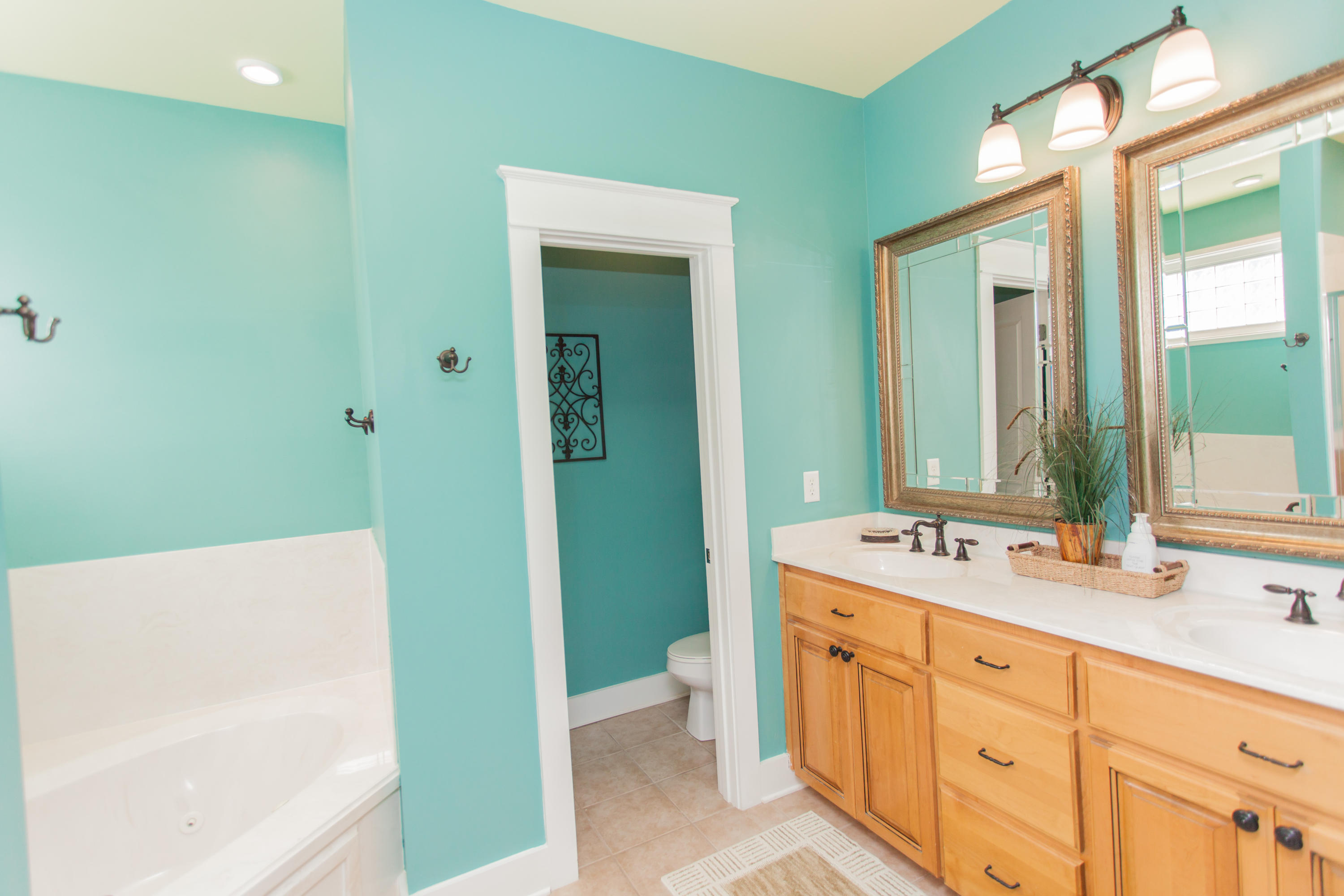 156 Beach Bike Way Inlet Beach, FL 32461 - Photo 36 of 50 a spacious bathroom with 2 sink tub and a mirror
