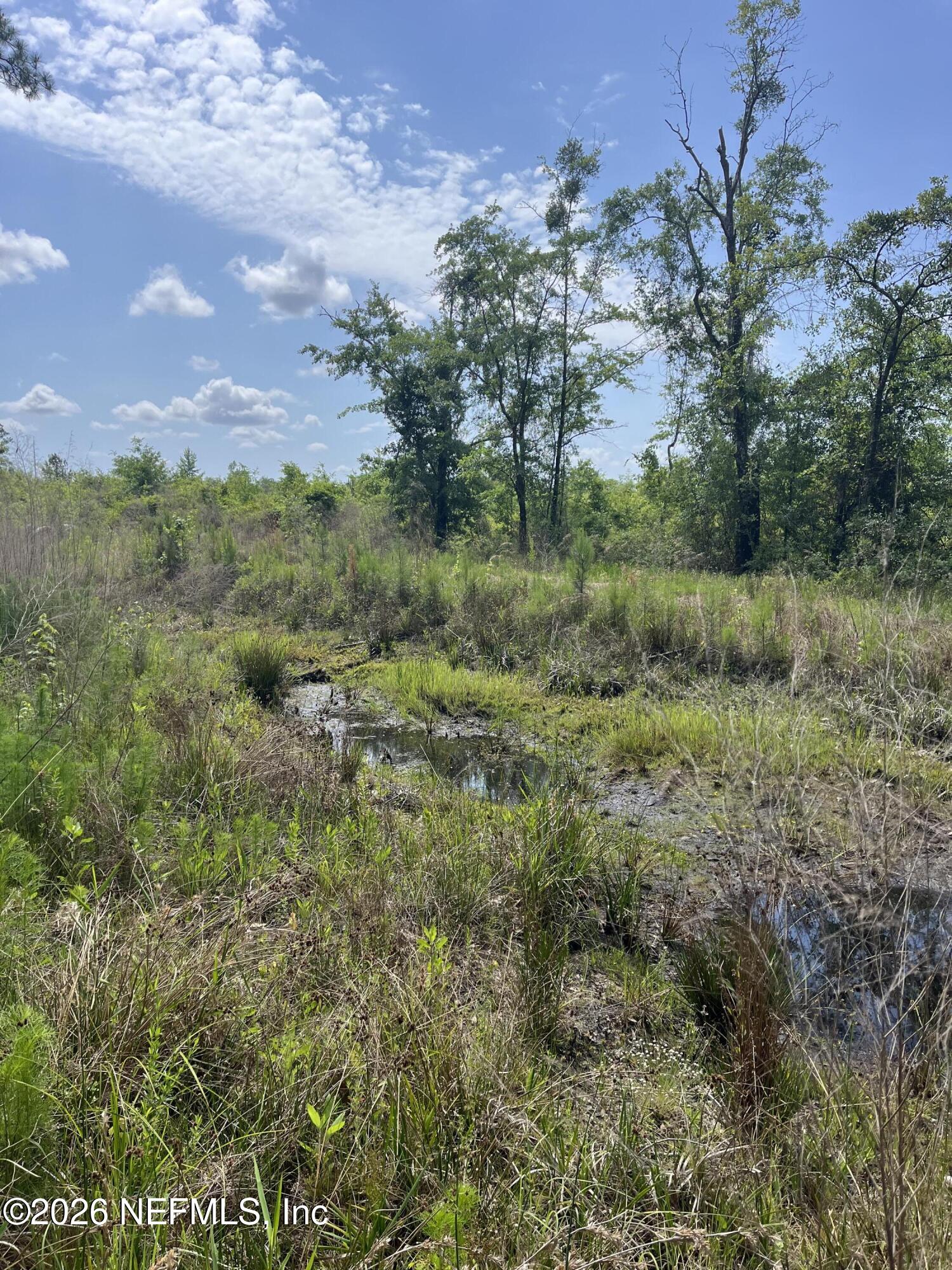 5950 Sweet Moody Road Green Cove Springs, FL 32043 - Photo 11 of 15 a view of a green field with lots of bushes