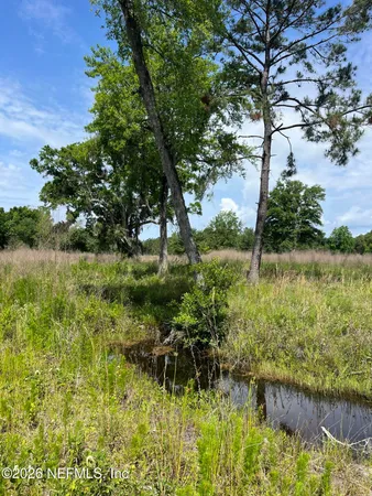 a backyard of a house with lots of green space