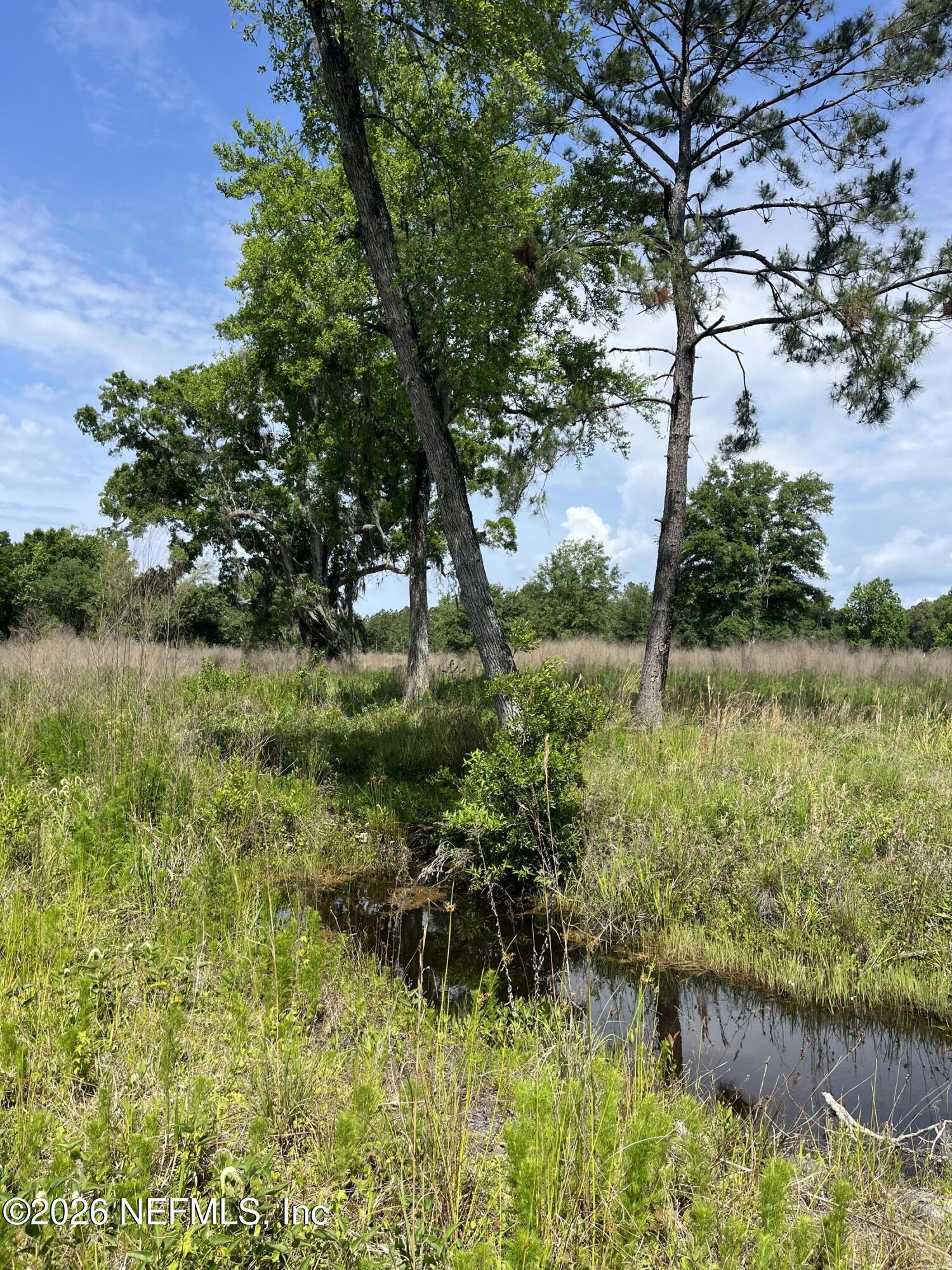 5950 Sweet Moody Road Green Cove Springs, FL 32043 - Photo 13 of 15 a backyard of a house with lots of green space