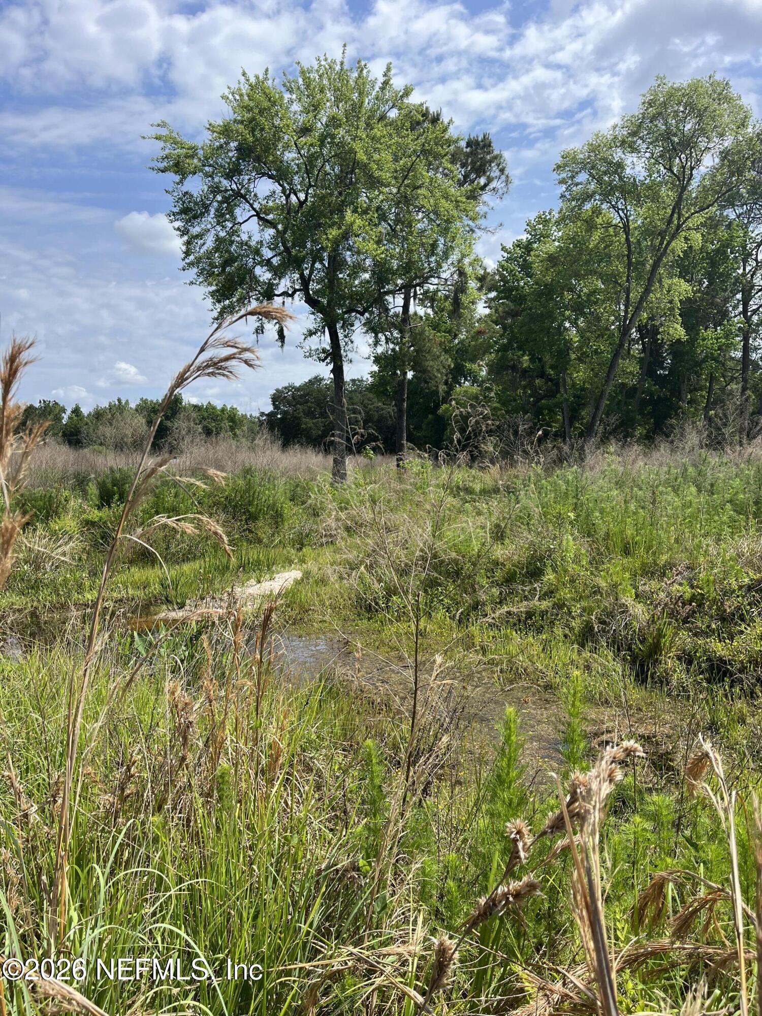 5950 Sweet Moody Road Green Cove Springs, FL 32043 - Photo 14 of 15 a view of a yard