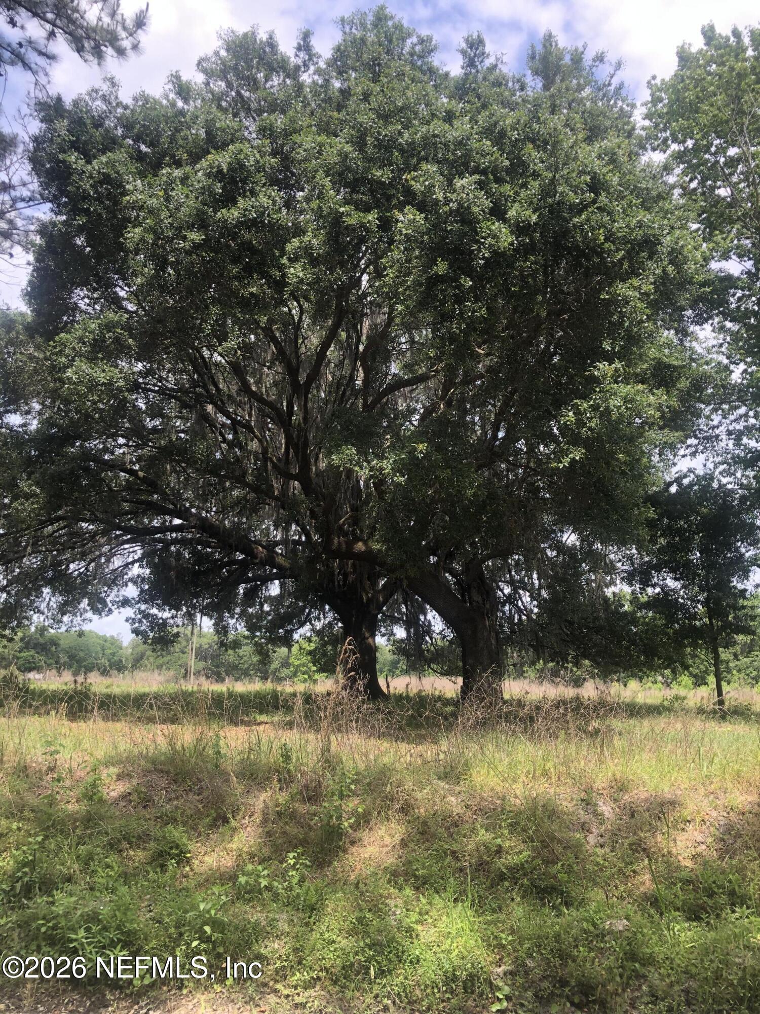 5950 Sweet Moody Road Green Cove Springs, FL 32043 - Photo 15 of 15 a view of lake view