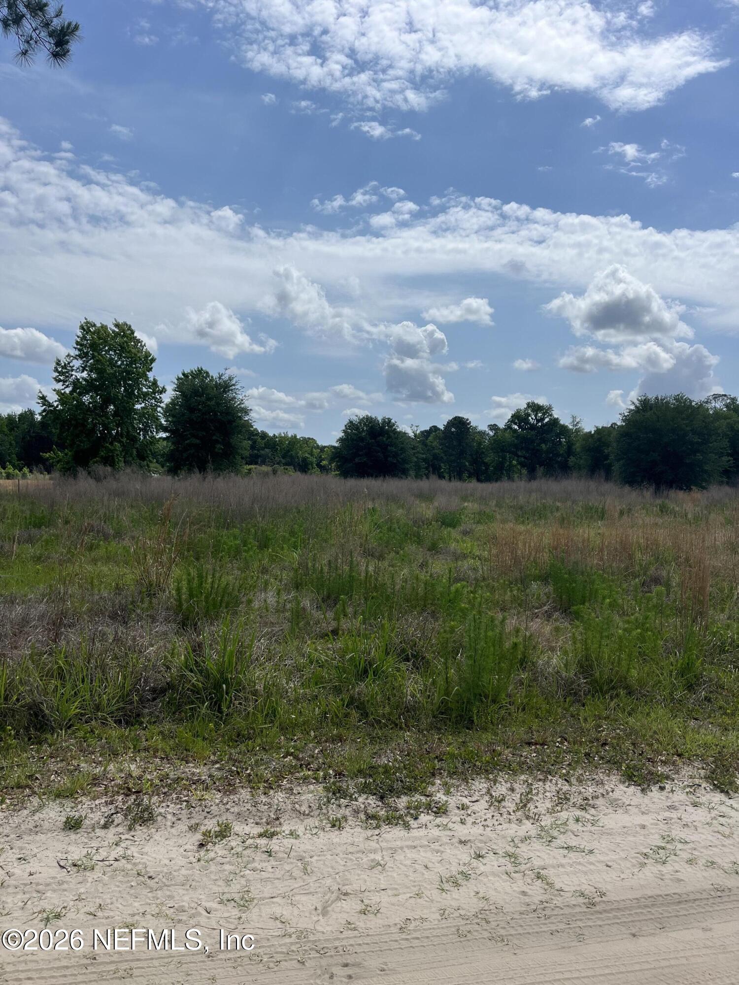 5950 Sweet Moody Road Green Cove Springs, FL 32043 - Photo 4 of 15 a view of a lake with a yard
