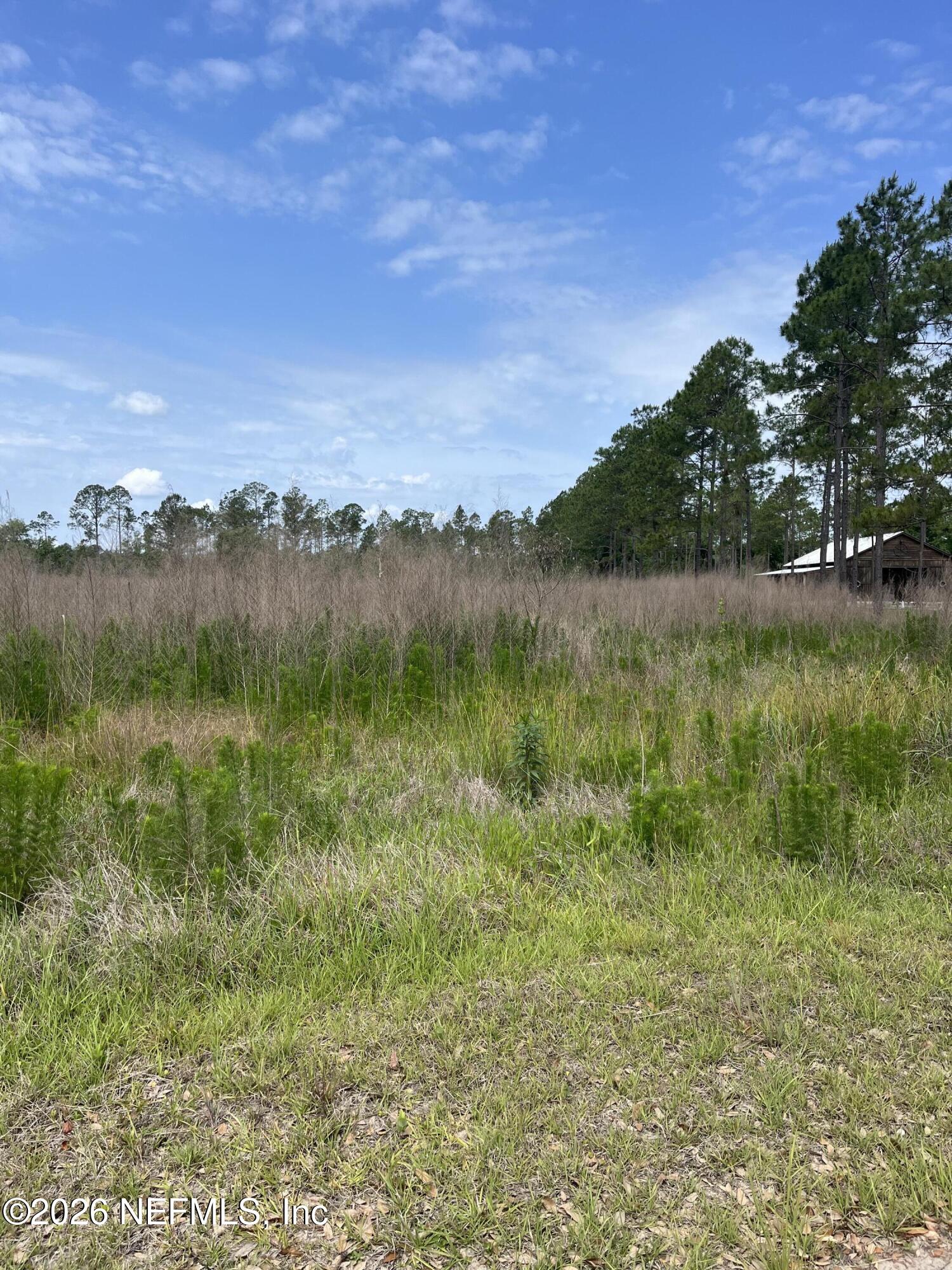 5950 Sweet Moody Road Green Cove Springs, FL 32043 - Photo 5 of 15 a view of lake with green space