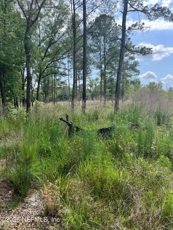 a view of lake with green space