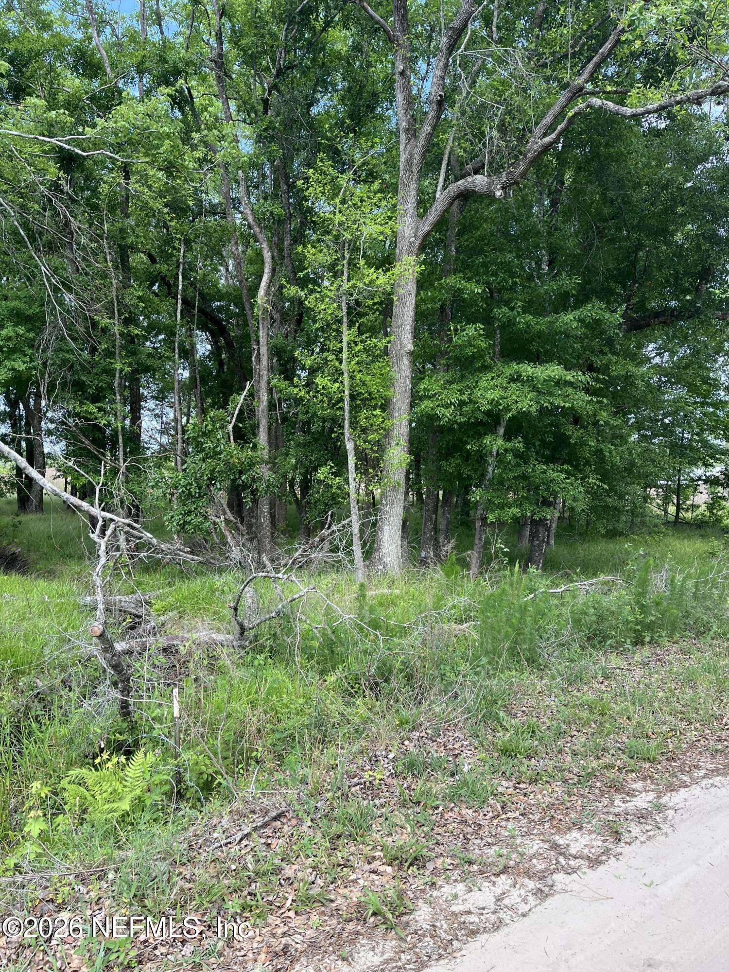 5950 Sweet Moody Road Green Cove Springs, FL 32043 - Photo 7 of 15 a view of forest