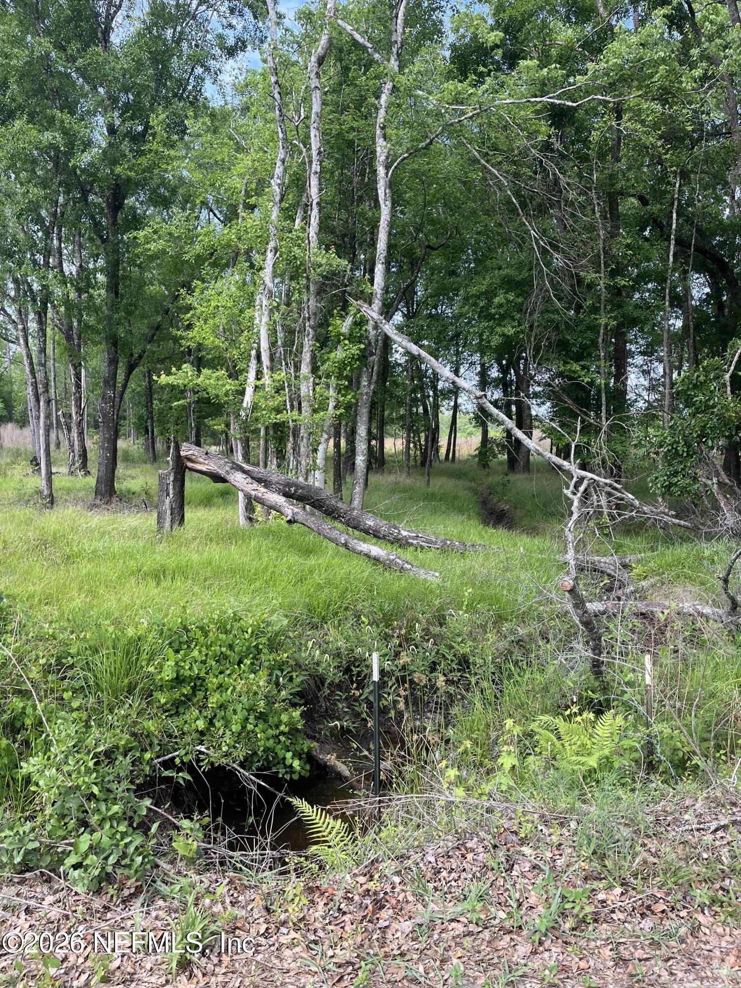 5950 Sweet Moody Road Green Cove Springs, FL 32043 - Photo 8 of 15 a view of green field