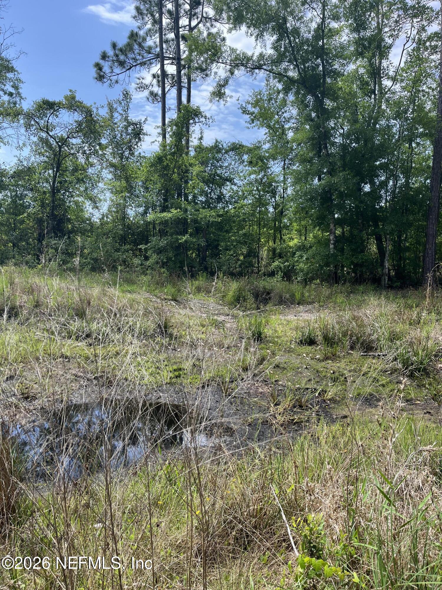 5950 Sweet Moody Road Green Cove Springs, FL 32043 - Photo 10 of 15 a view of a lake with a yard