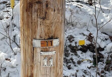 67 Maple Street North Berwick, ME 03906 - Photo 6 of 15 6